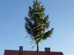 K04
